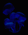 /album/houby/houby-018-gif/